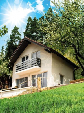 Casa din gradina